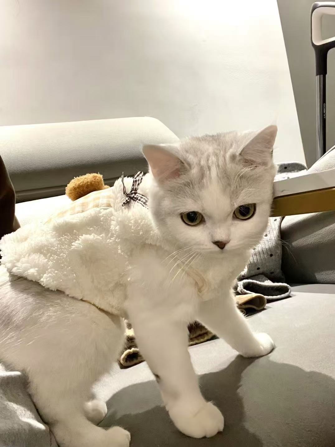 Netcup VPS/RS更换系统语言与修改时区