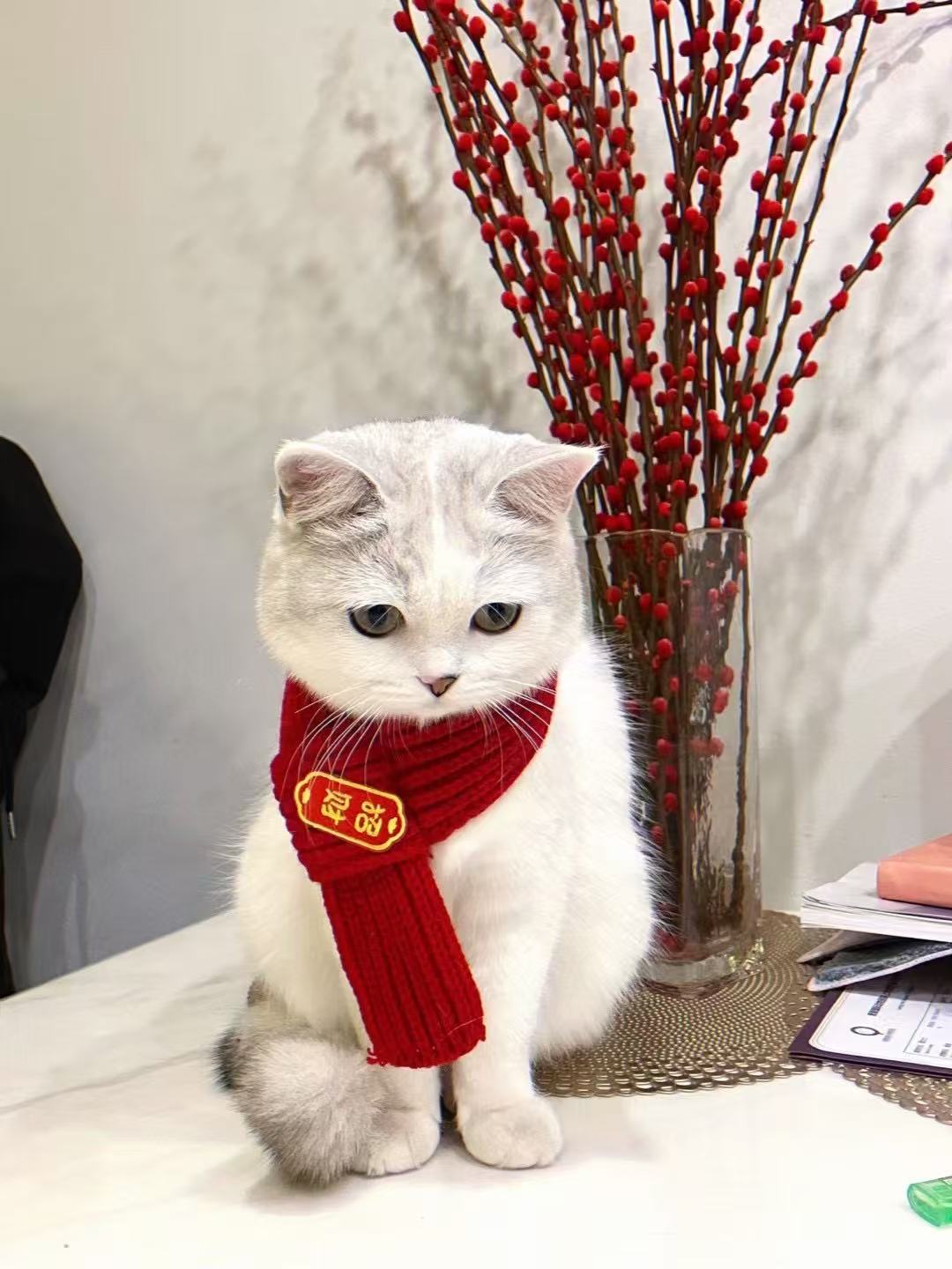 [投稿]月月大包去重脚本