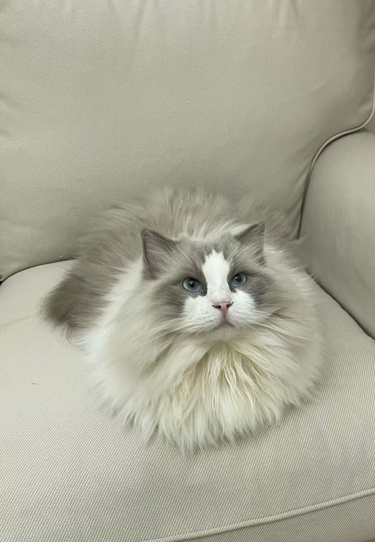 盒子（seedbox）简单介绍