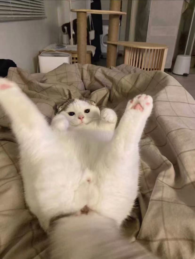 月月特色系列200部大包辅种