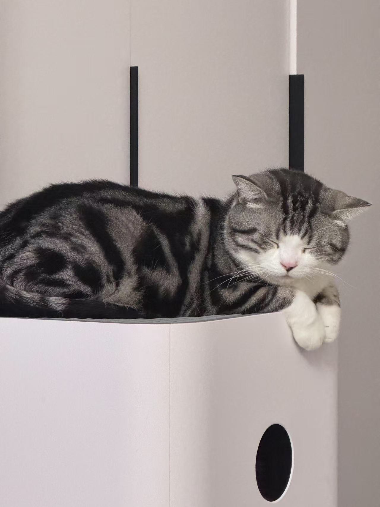 DMIT简介与LAX地区选购建议