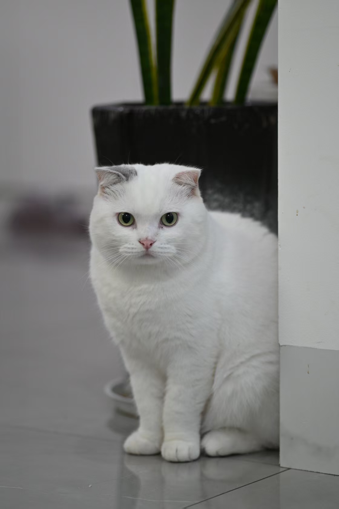 盒子常用软件工具安装简单示例