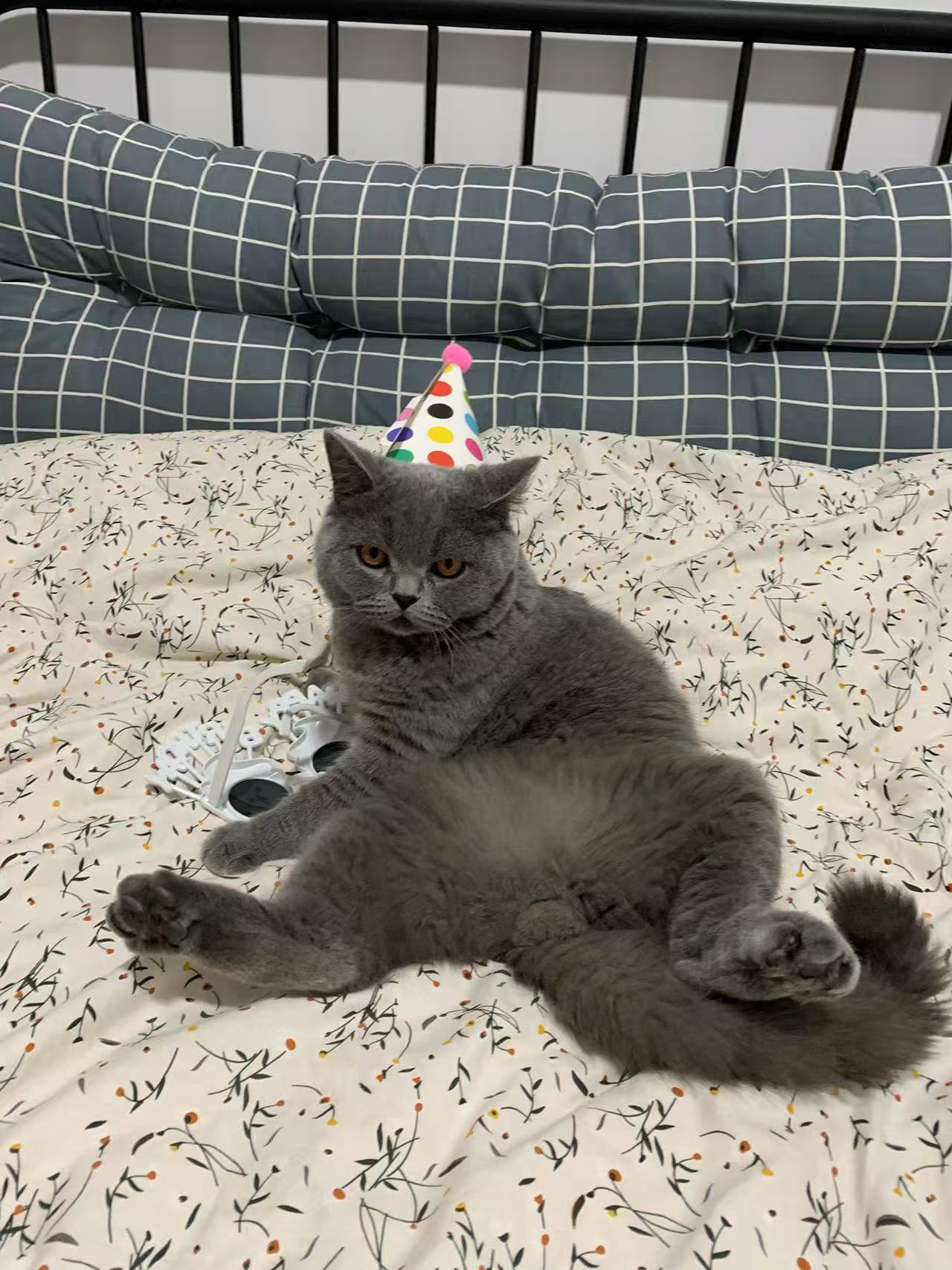 vnStat (流量统计/监控)部署及使用示例