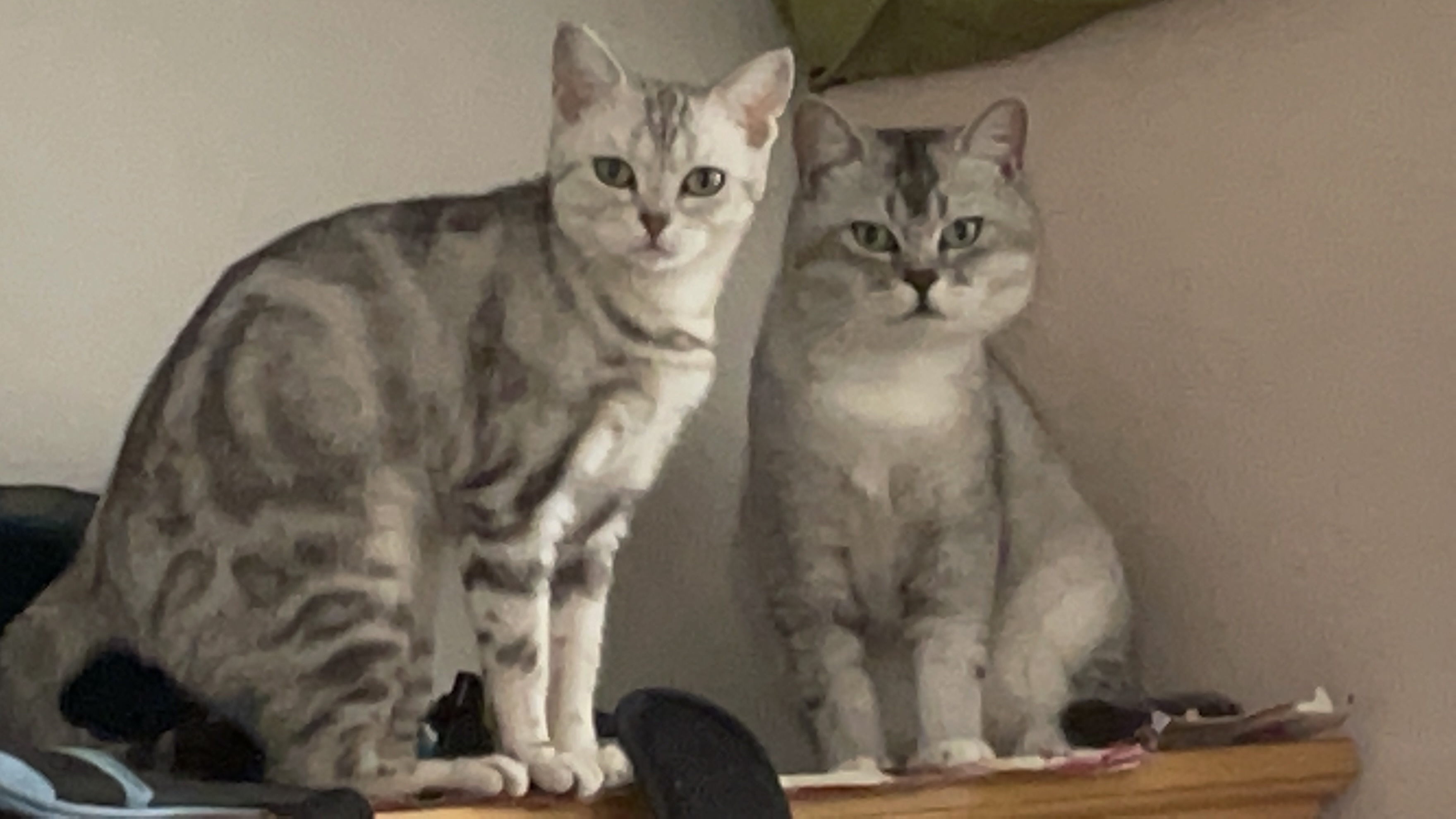 Netcup服务器取消/转移（PUSH）示例