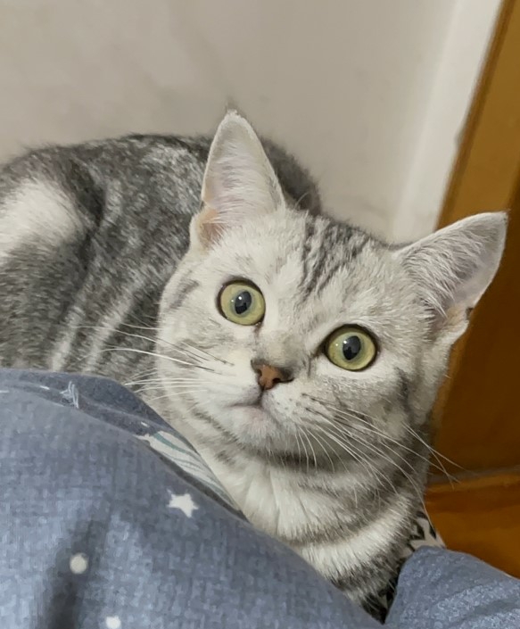 auto_feed（转种脚本）使用示例